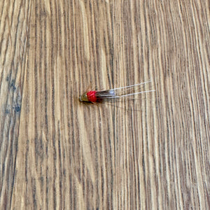 Red Frances Tungsten Cone flies Shadow Flies Francis Red Nano 2.0mm  